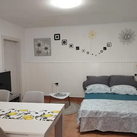 Apartment Dulijana 2042 Pula